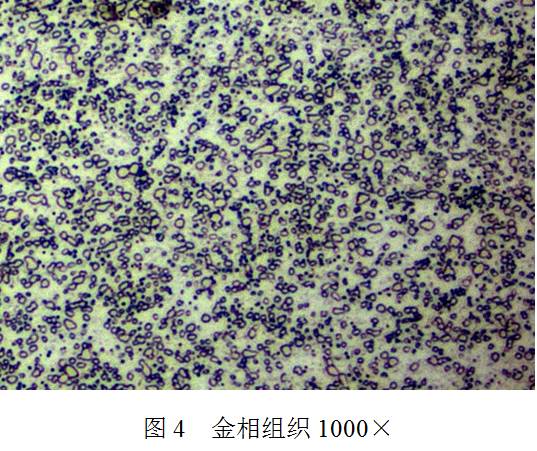 �������S��呼����˻��|�����������a�ɱ���